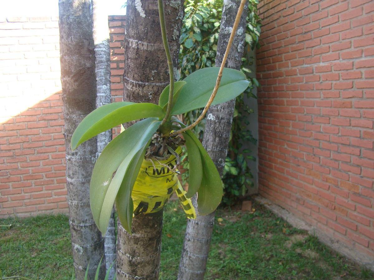 Hostel Sur Backpackers Santa Cruz de La Sierra Exterior foto