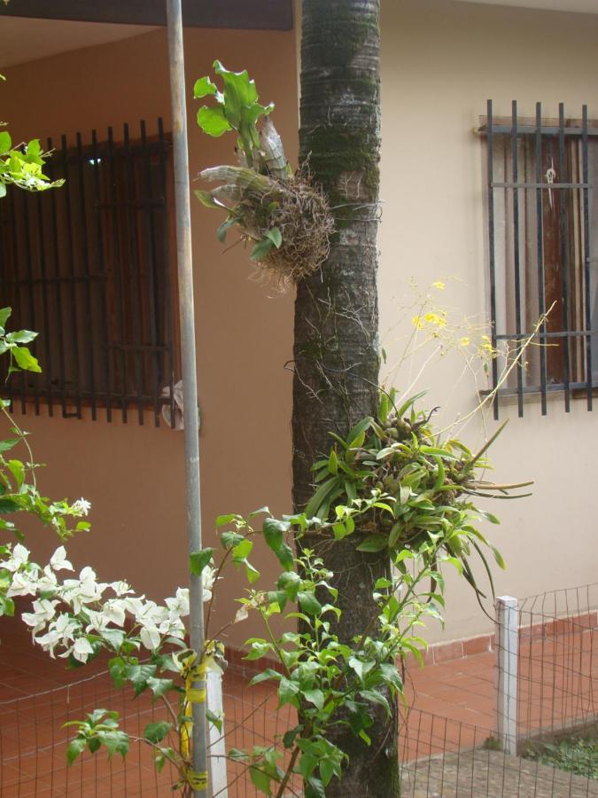 Hostel Sur Backpackers Santa Cruz de La Sierra Exterior foto