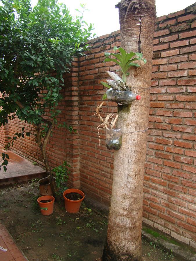 Hostel Sur Backpackers Santa Cruz de La Sierra Exterior foto